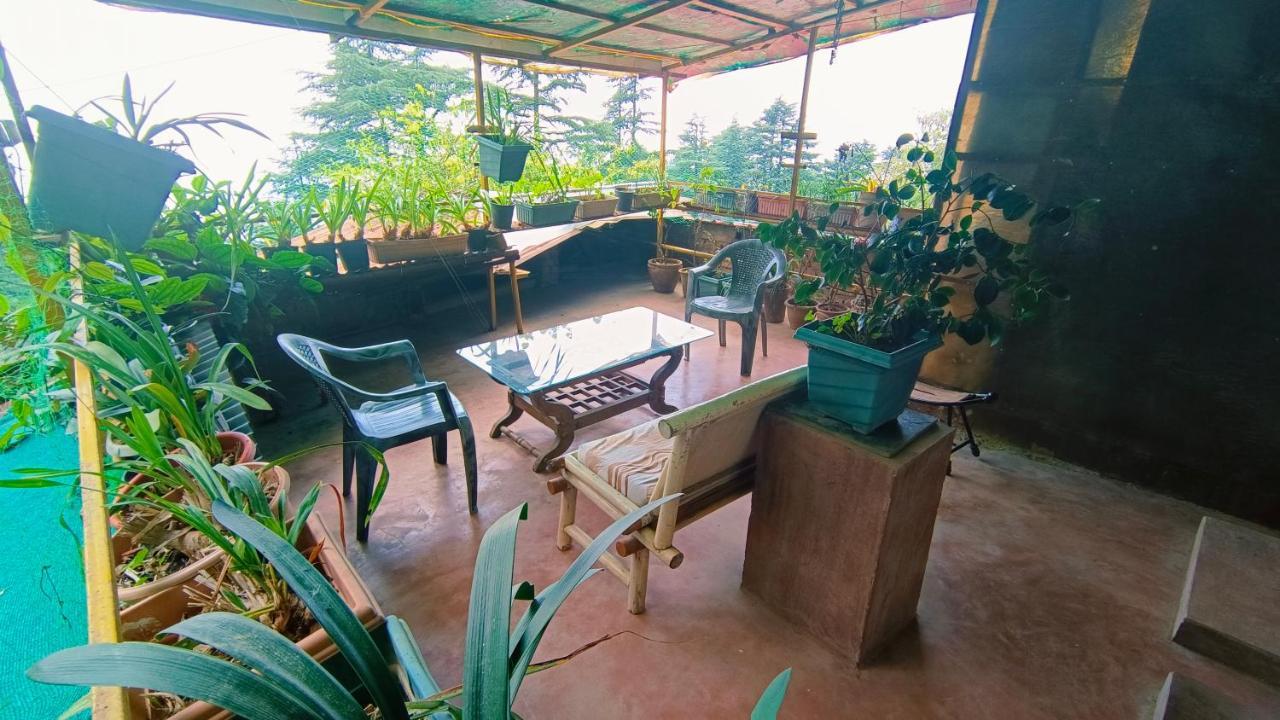 Mcleodganj Bed & Breakfast Мак-Леод-Гейндж Экстерьер фото